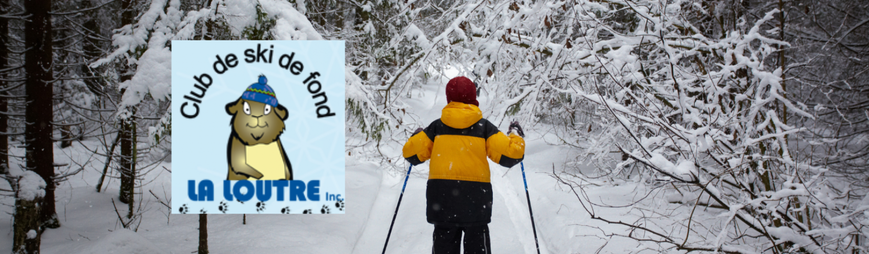 Club De Ski De Fond La Loutre Plessisville